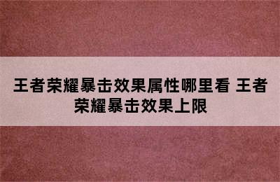 王者荣耀暴击效果属性哪里看 王者荣耀暴击效果上限